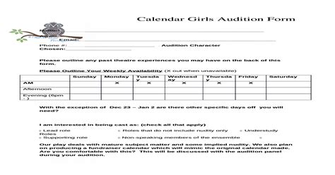 Netvideo Calender Audition